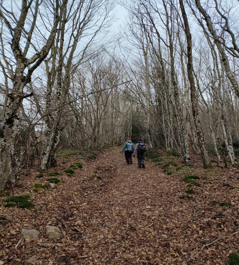 Avenas tour et les Aiguillettes - Deux-Grosnes