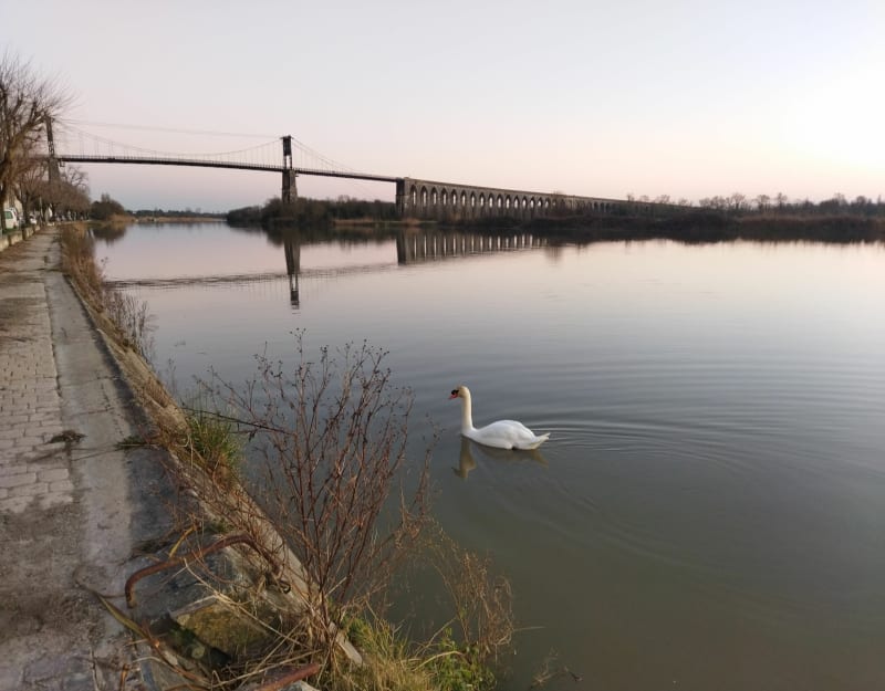 Quai, Lavoir, chemins de traverse et Parc de la Varenne - Tonnay-Charente