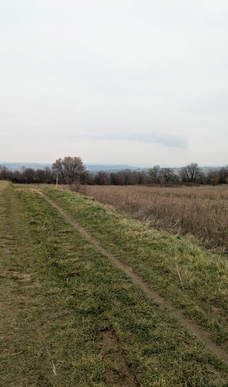 Boucle de Sérézin par Crapon et les hauts de Communay - Sérézin-du-Rhône