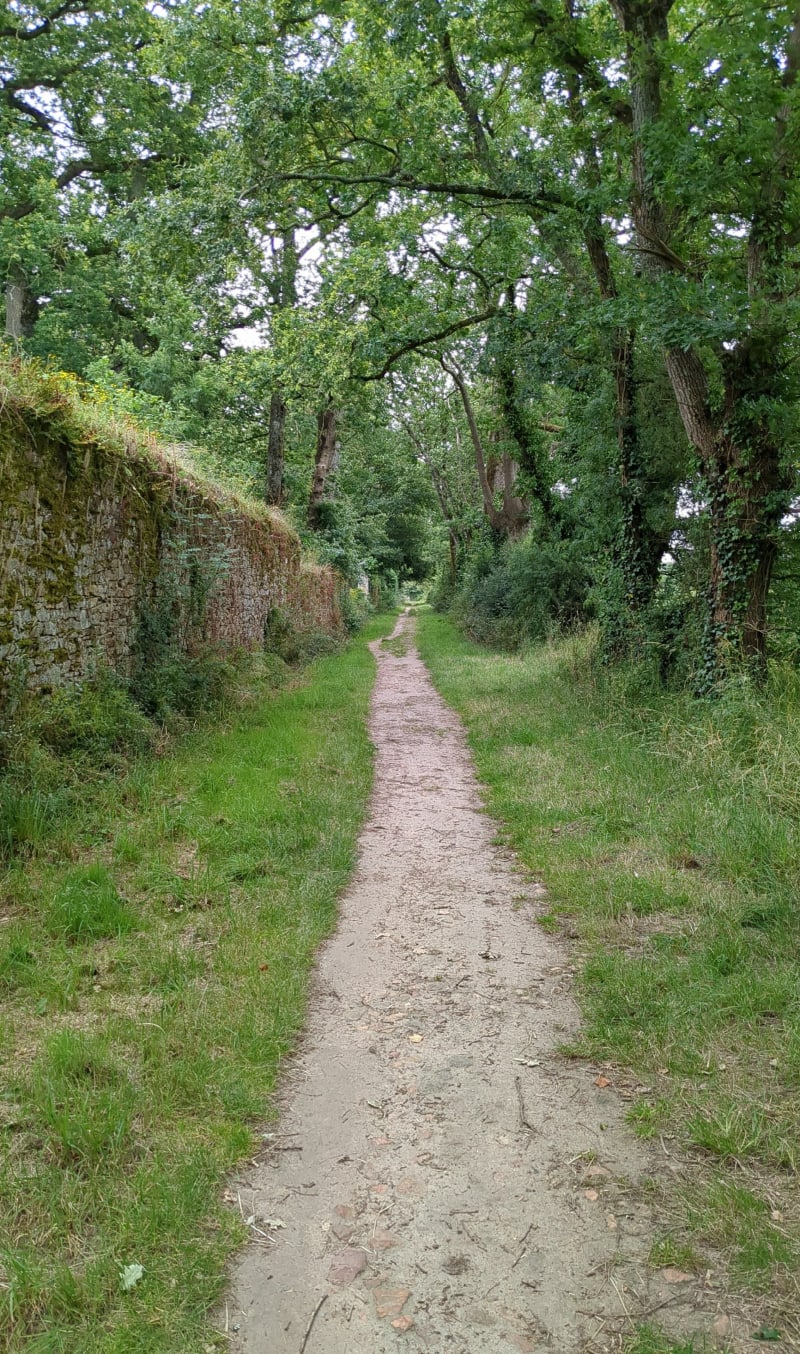 Balade en Anjou, par la Gautellerie - Orée-d'Anjou