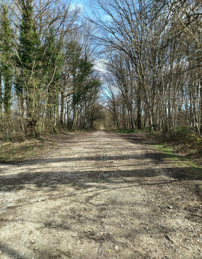 Balade en forêt de Chaux et Parc Sauline - Dole