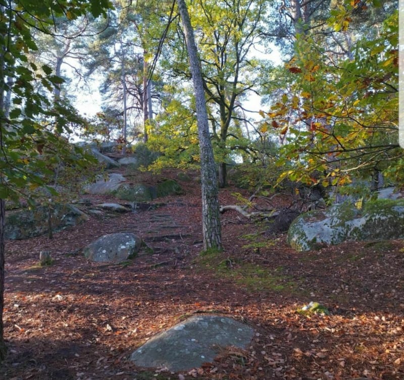 Gorges de Franchard depuis Apremont - Fontainebleau
