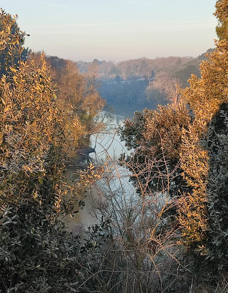 Brionneau et l'étang St-Nicolas - Angers
