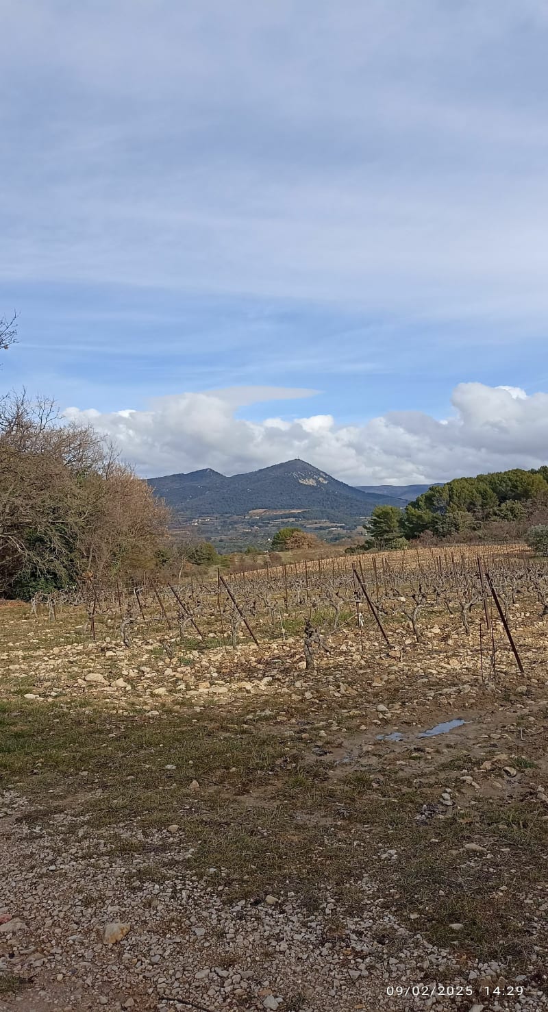 Balade aux alentours de Mirabel-aux-Baronnies, par Tour Belle - Mirabel-aux-Baronnies