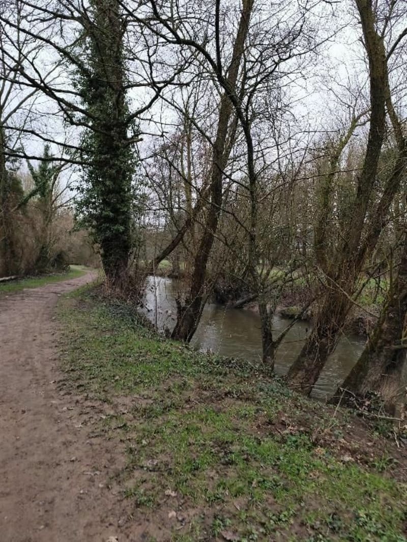 Boucle du Pont De Pacé - Pacé