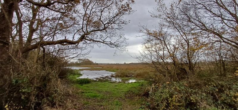 Tour de Brière - Saint-Nazaire