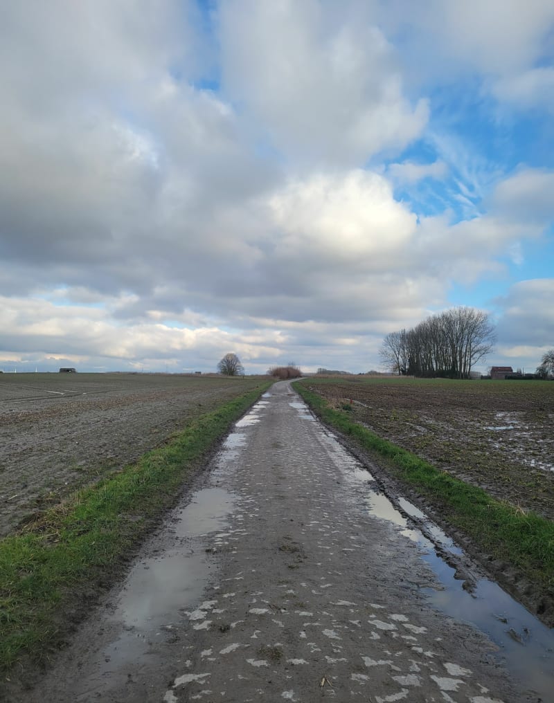 Balade à travers la campagne, par Cysoing et Bourghelles - Bourghelles