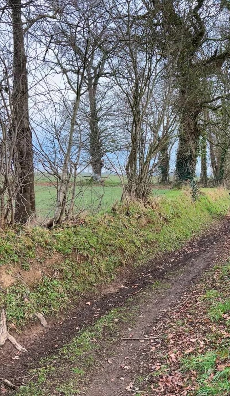 Balade en famille depuis la Papillonnière - Vire-Normandie