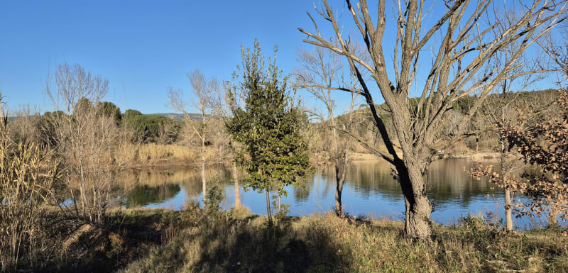 Lac de l'Endre et les Pesquiers - Le Muy