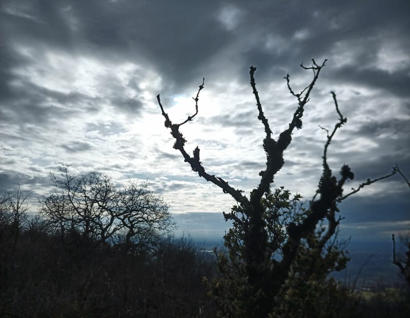 Le Mont July - Bourg-en-Bresse
