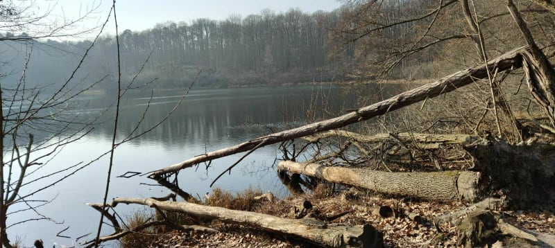 Szwedzkie Góry Pożegowo - Mosina