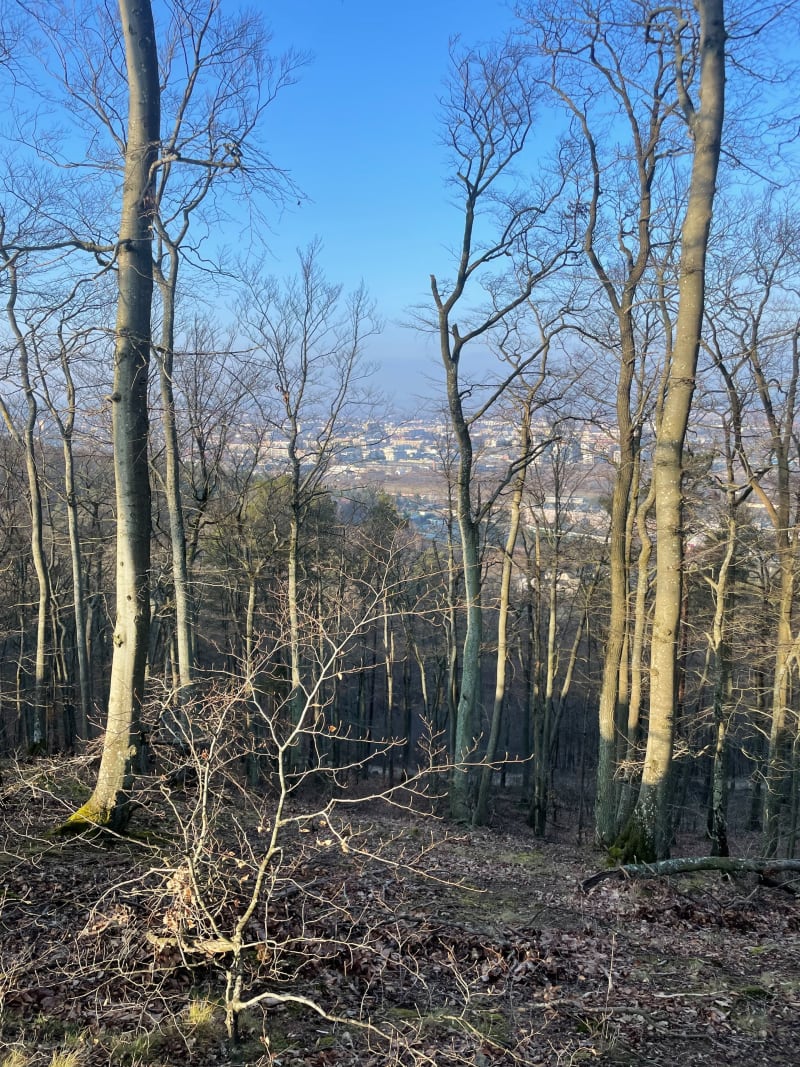 Długa góra - Gdynia