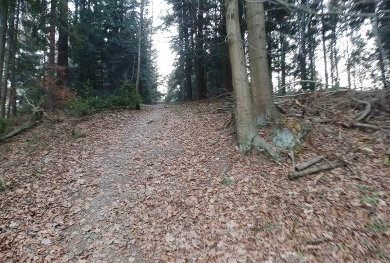 Góra Parkowa i Krynica - Krynica-Zdrój