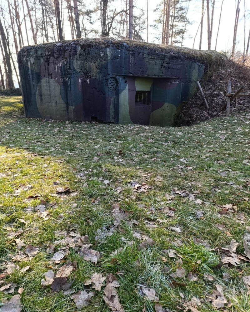 Gostyńsko-Wyrskie Lasy - Gostyń