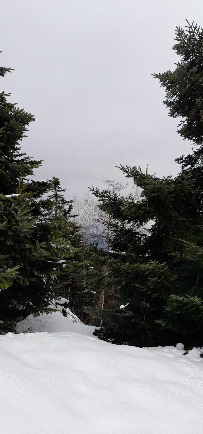 Cabane de l'Abedet en raquettes - Sireix