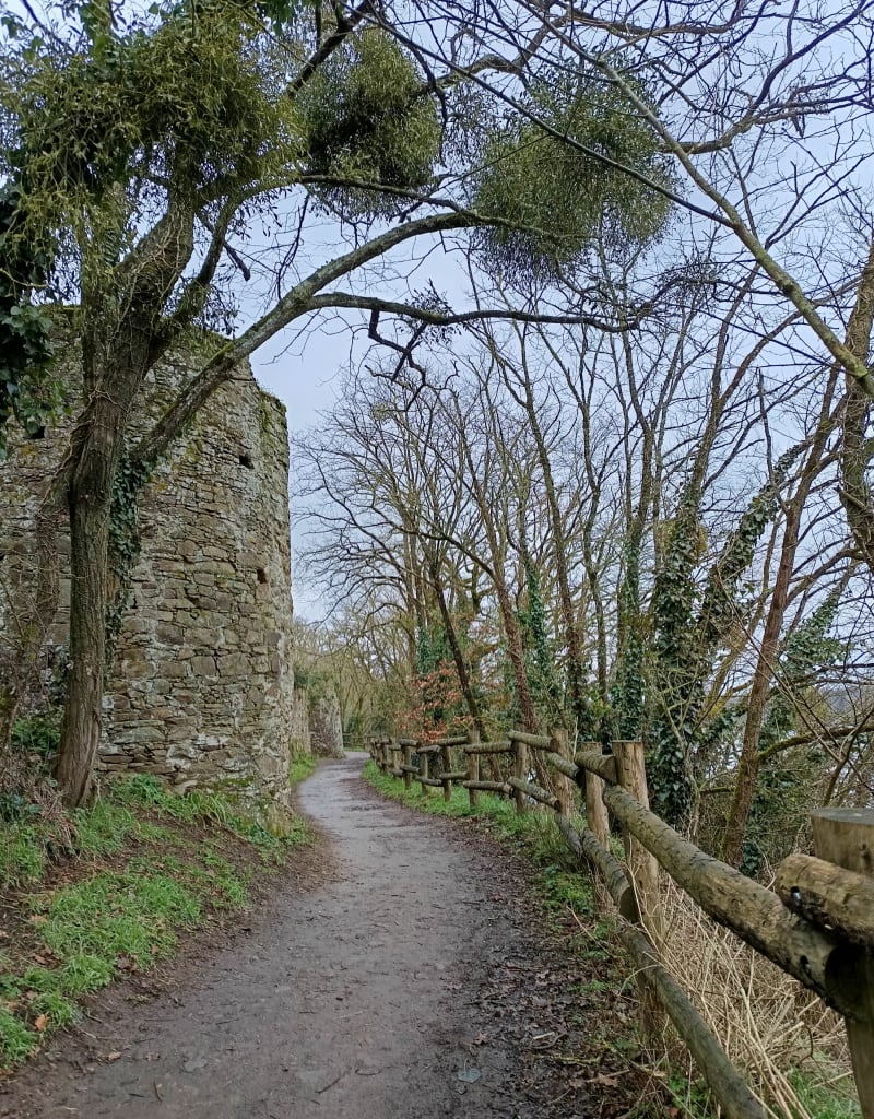 Ribou et parc des menhirs - La Tessoualle