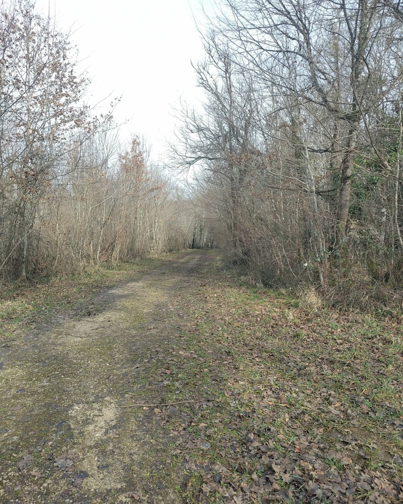 Boucle du Gros Fayant par le lac noir - Rivières