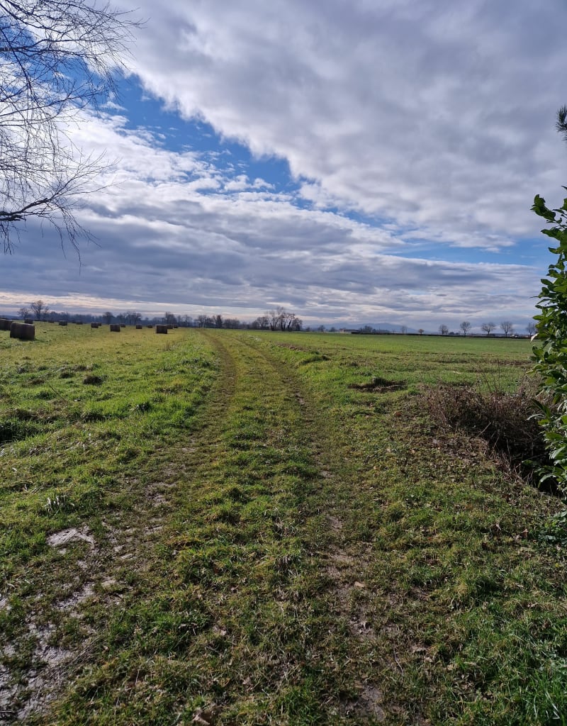 Promenade entre Villeneuve et Savigneux - Villeneuve