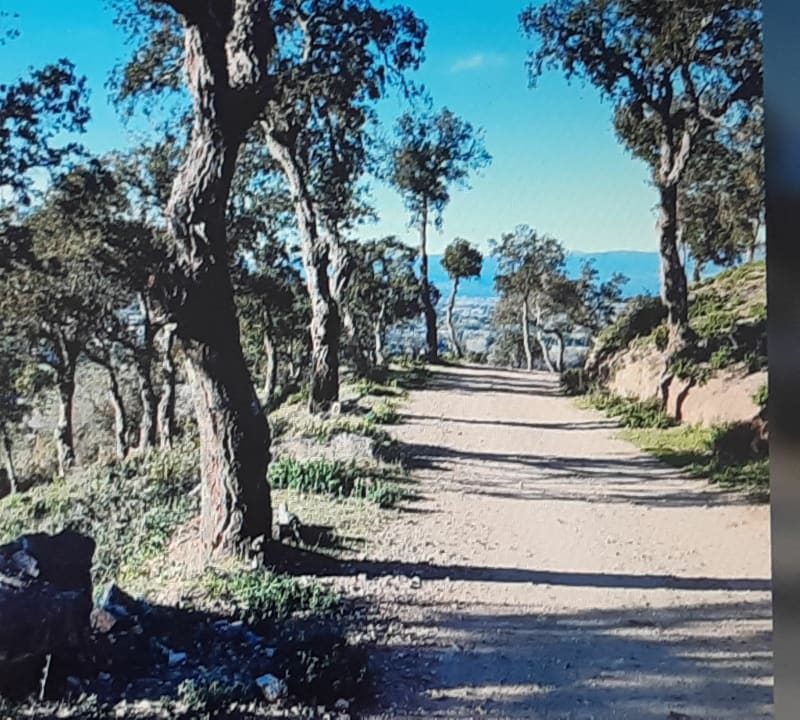 La Gaillarde et les Issambres - Roquebrune-sur-Argens
