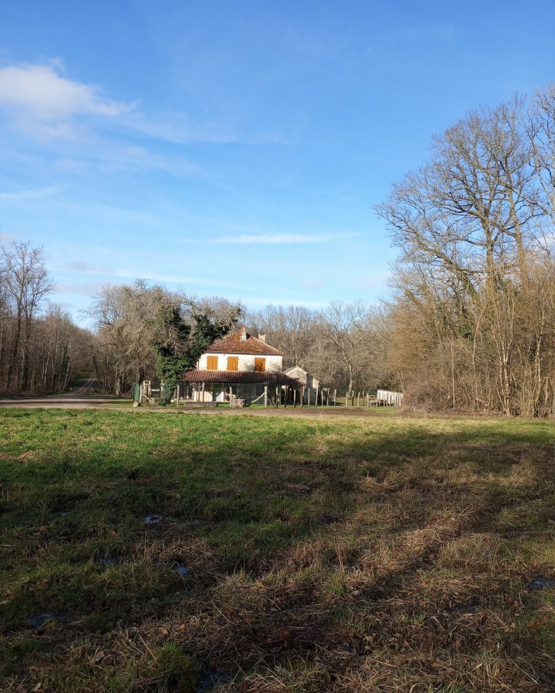 Belle maison et gros chêne à Humbécourt - Humbécourt