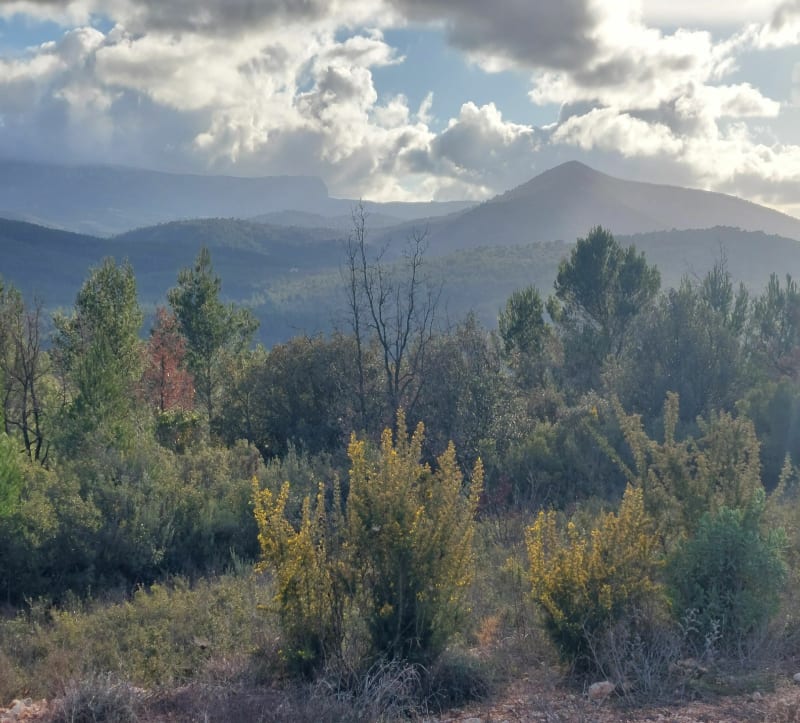 St-Zacharie depuis Nans par Montmorin le GR et Jas de Bayard - Nans-les-Pins
