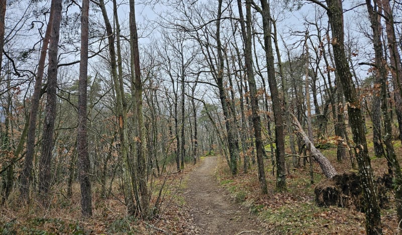 Boucle pédestre entre Saint-Laurent-de-Vaux et Chateauvieux - Vaugneray