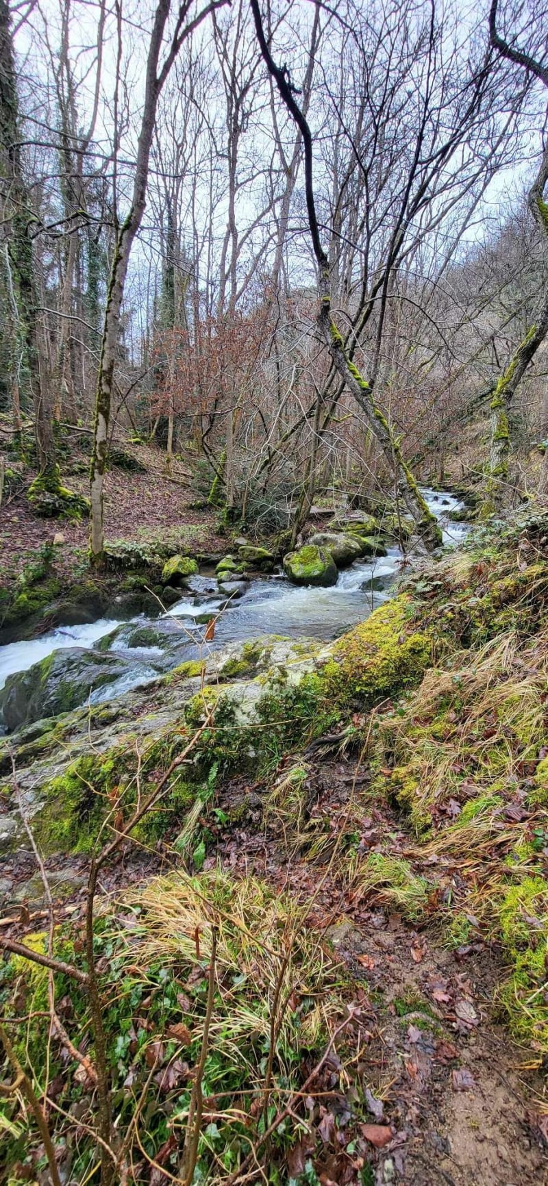 La cascade de la Monne - Olloix