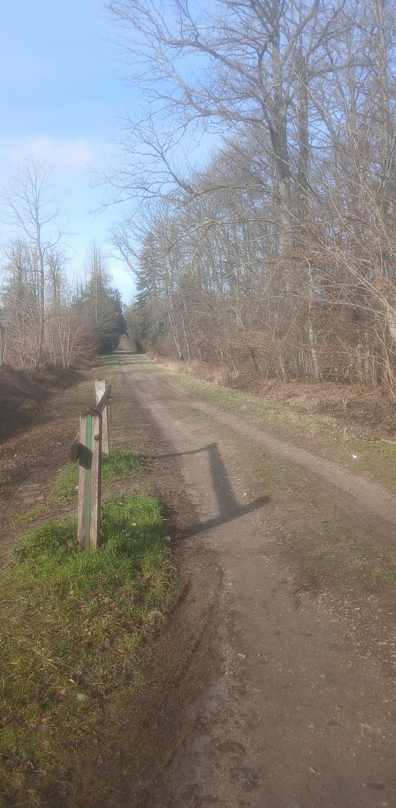 Parcours de Paucourt et la Forêt de Montargis - Paucourt