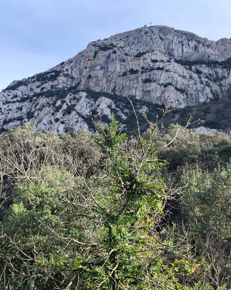 Tour du Pic Saint Loup depuis le col de Fambetou - Valflaunès