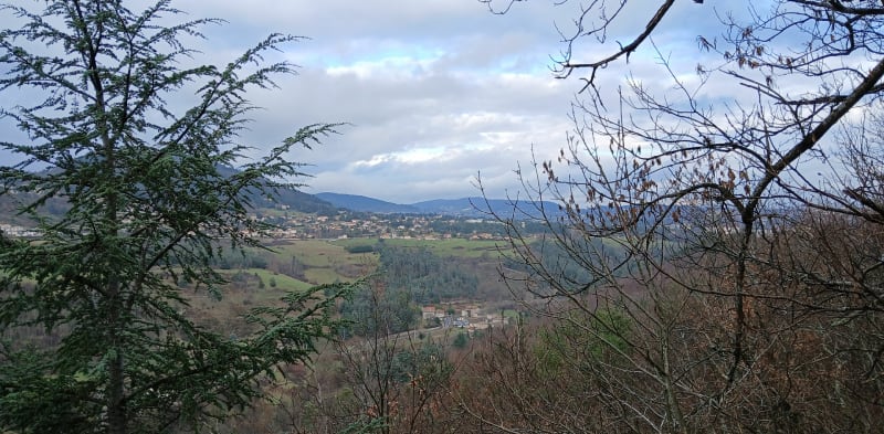 Roiffieux de Plat de la Chaux, par Lemps - Roiffieux