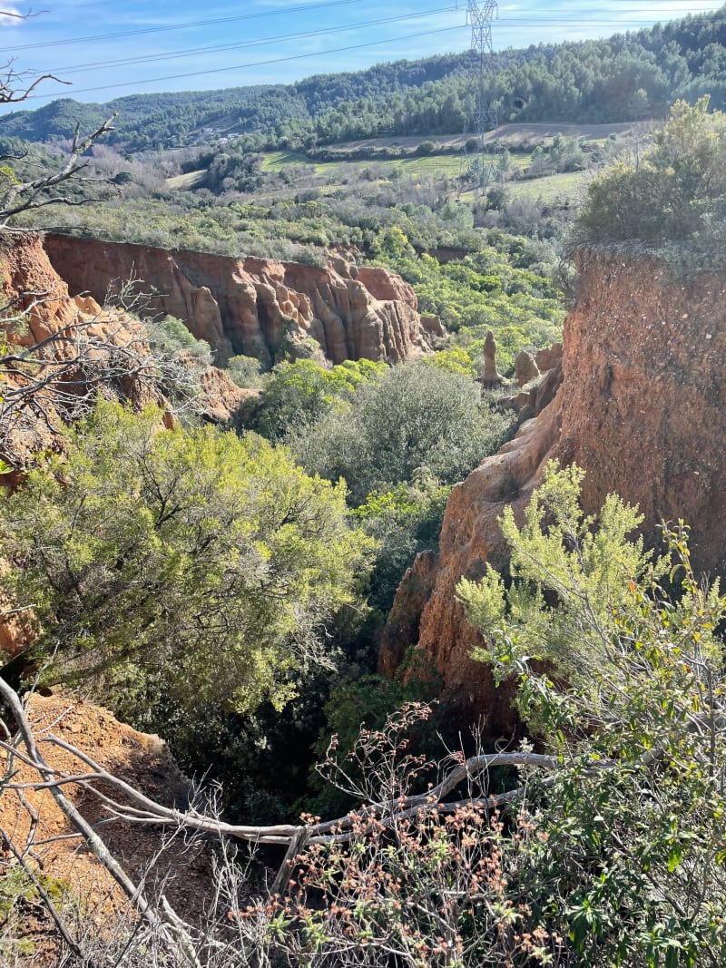Petite randonnée à Réals et Bois de Veyran - Murviel-lès-Béziers