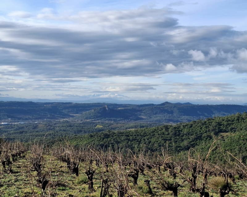 Le Priou et Bois de Montahuc - Pierrerue