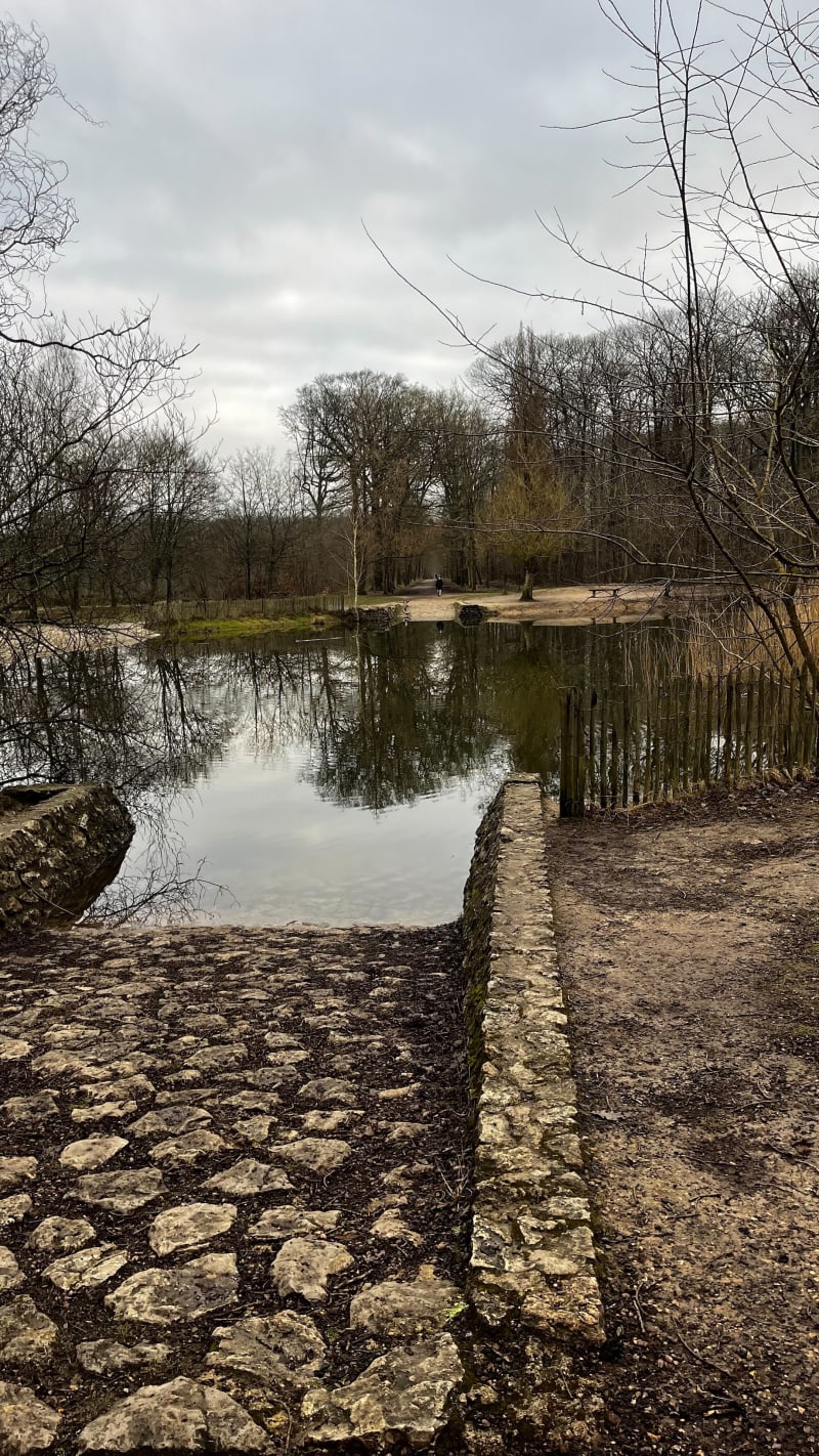 Forêt et Étang Godart depuis Eaubonne - Eaubonne