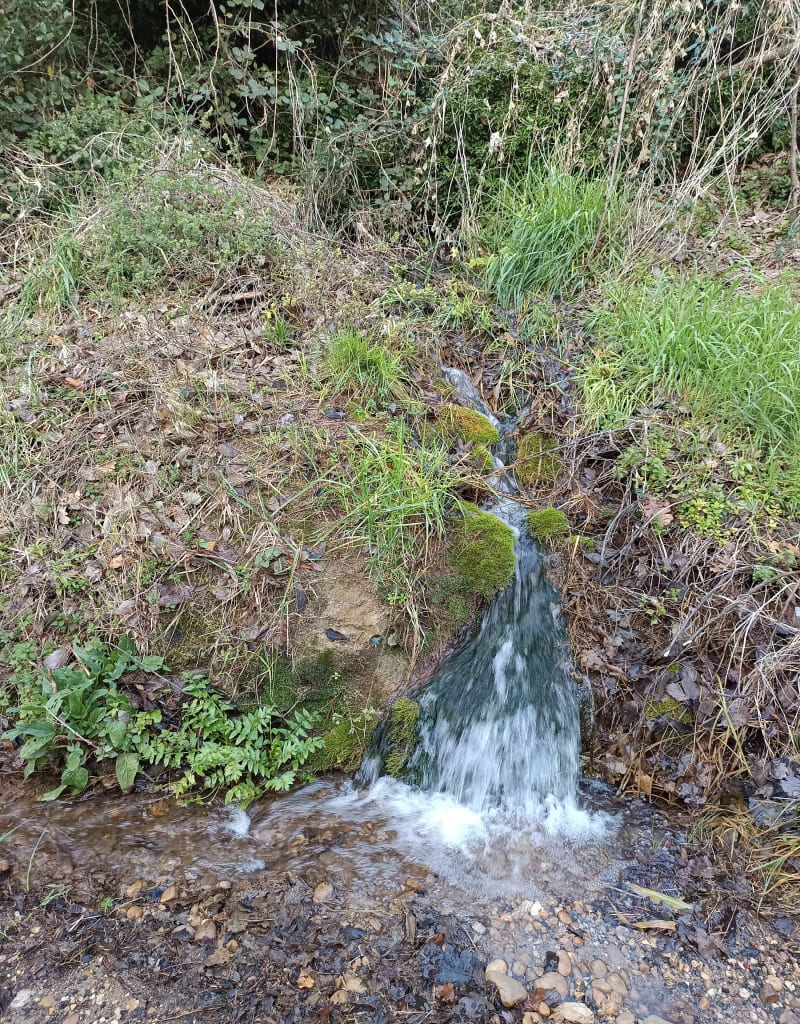 La Fontaine-du-Roi et l'écluse de Nourriguier - Bellegarde