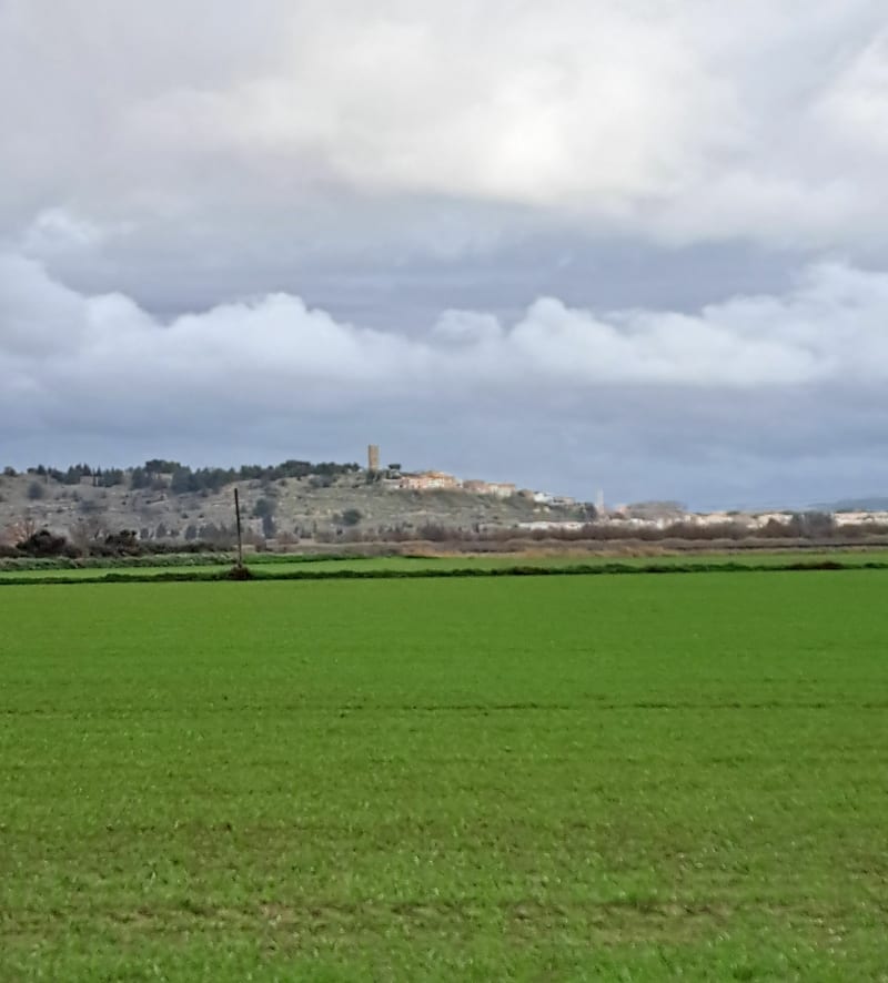 Boucle de Poilhes, Etang de Montady, Ensérune et Canal du Midi - Poilhes