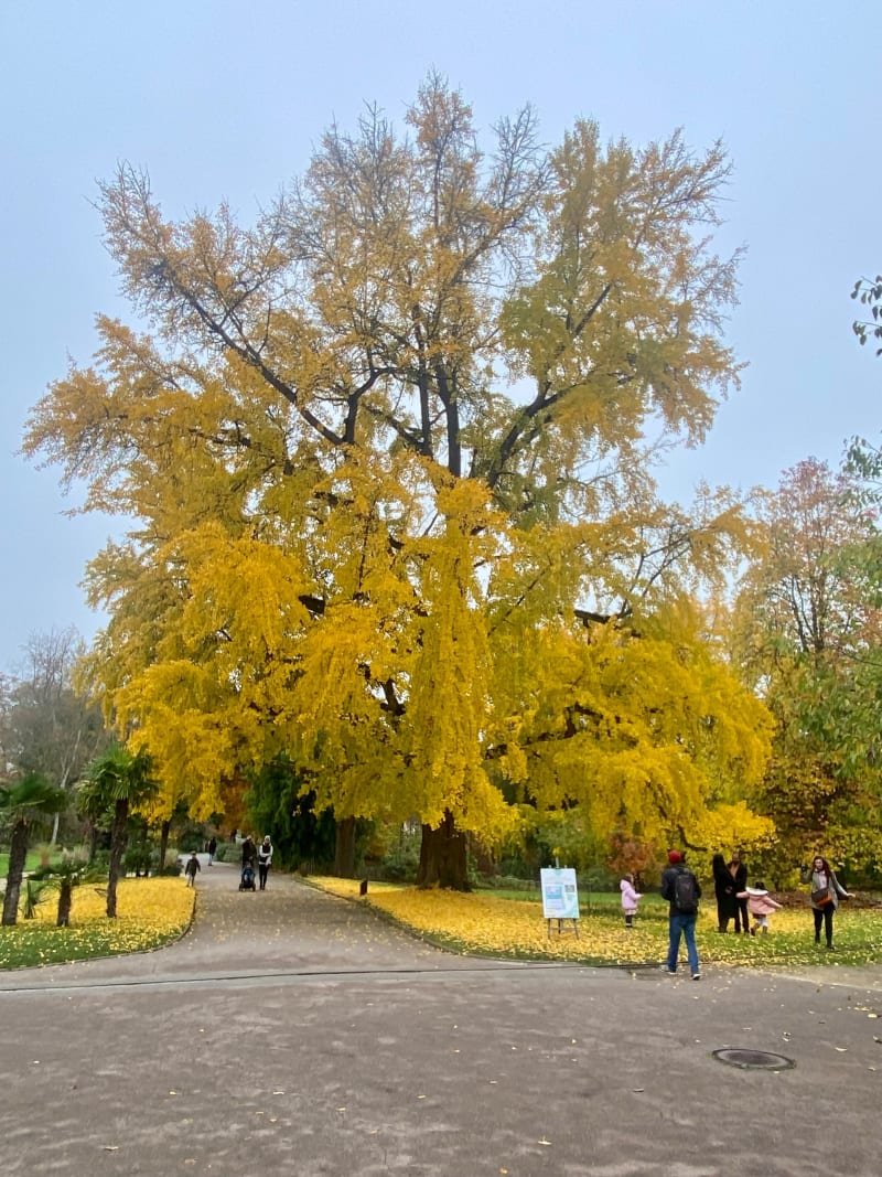 Petit tour de la Grange au Bois et Lac Ariane - Metz