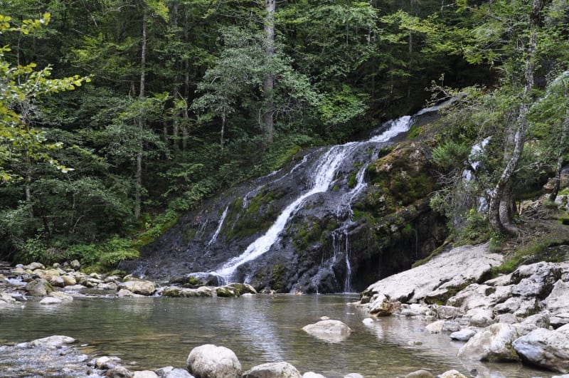 Randonnée cascade du Pissieu : chute d'eau blanche dégringolant sur roche sombre