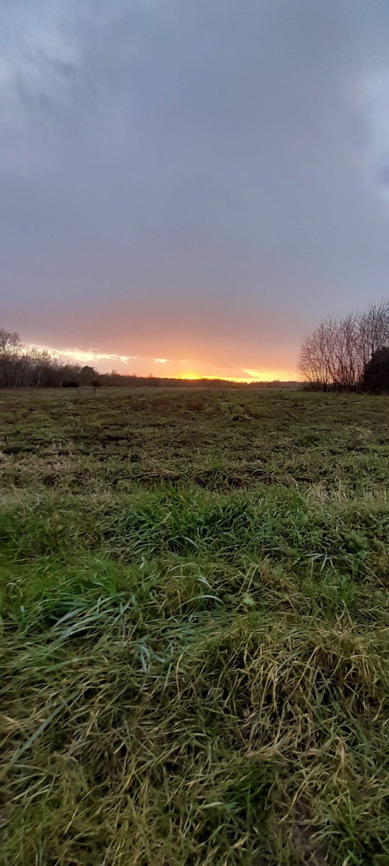 Balade Forestiere de Russy et Lafargue - Chailles