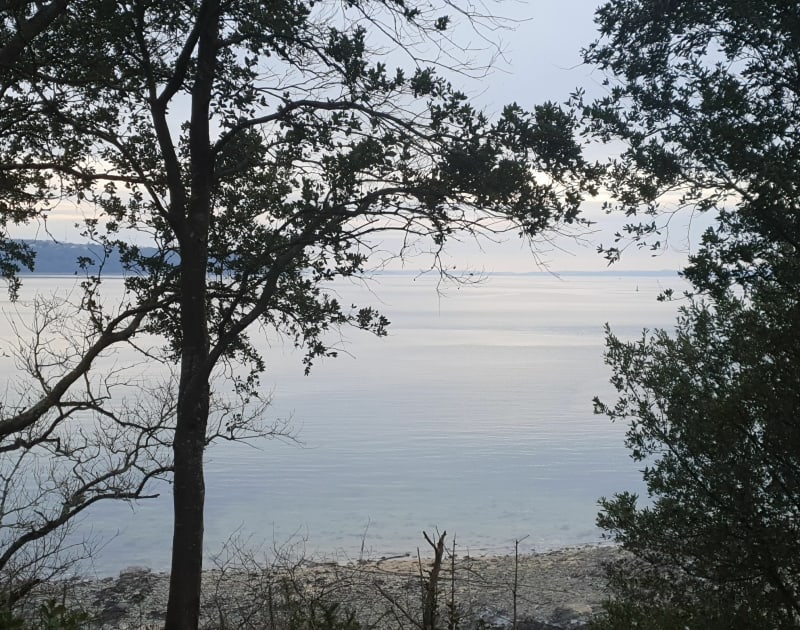 Rives de l'Elorn au Relecq Kerhuon - Le Relecq-Kerhuon