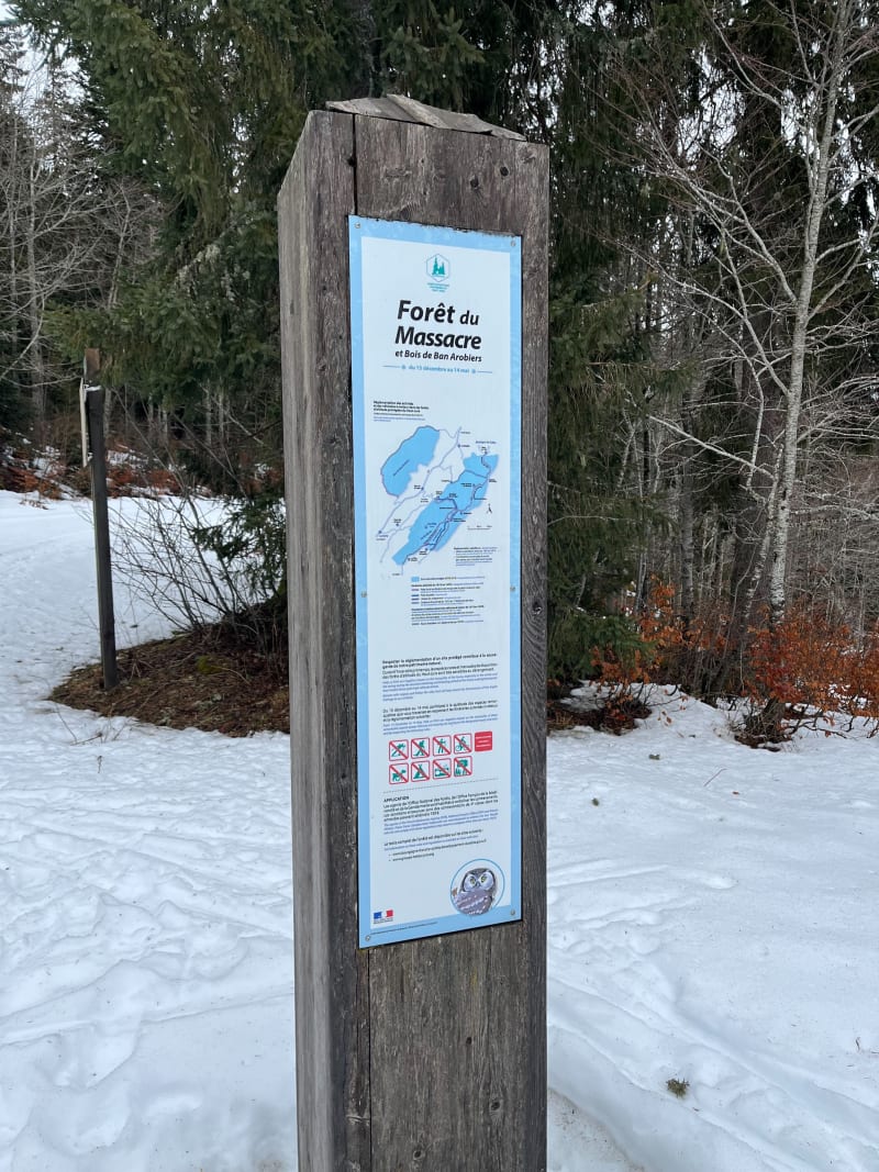 Boucle dans la forêt du Massacre au départ de Lajoux - Lajoux