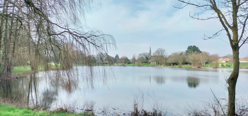 Plan d'eau des lavandières - Beaupréau-en-Mauges