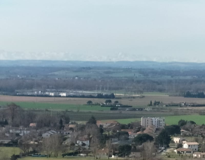 Boucles entre forêt et vignes sur les coteaux de Grisolles et Fronton - Grisolles