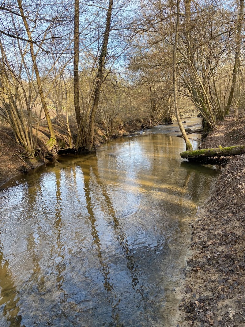Le long de l’Yzeron, par Sellegaud - Francheville