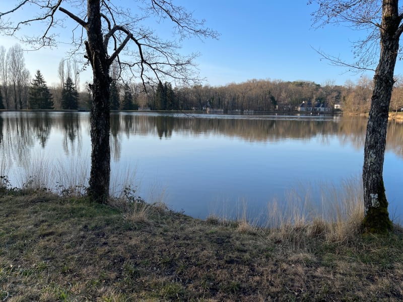 Balade vers l’étang d’Allogny - Saint-Éloy-de-Gy