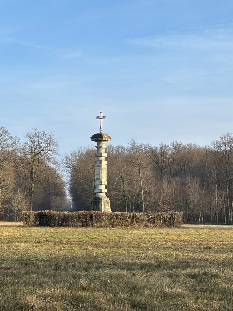 Moyen tour traconne - La Forestière
