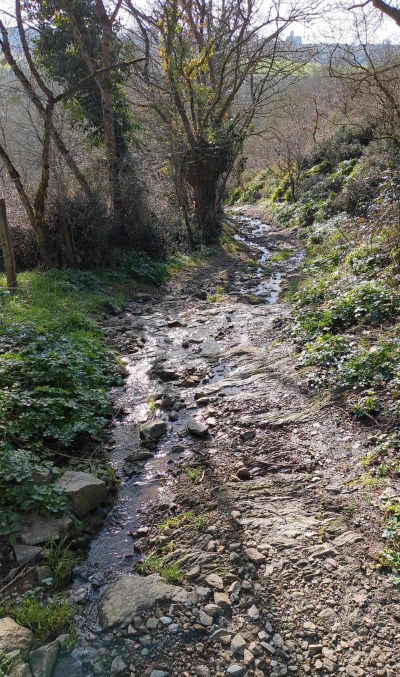 Balade entre Le Mesnil et Laurent-du-Mottay - Mauges-sur-Loire
