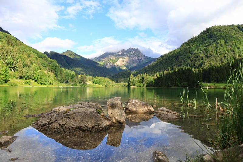 Balade à la Cascade d'Ardent depuis le lac de Montriond - Montriond