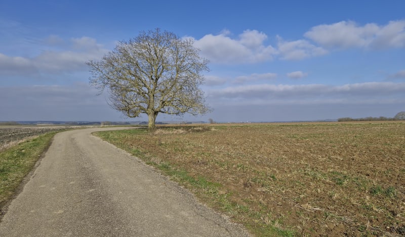 Balade vers la Moselle - Francheville