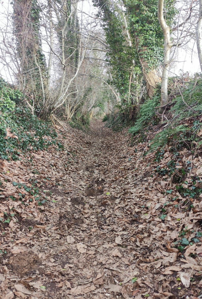 La campagne à partir de Fougère - Fougères