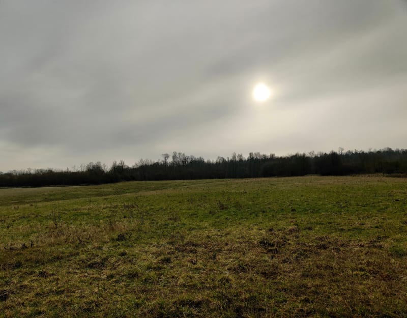 Marche matinale autour de Louches - Landrethun-lès-Ardres
